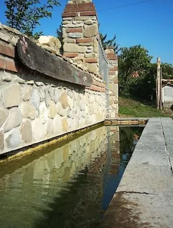 公寓 La Corte Dei Petrani Mansarda In Val Borbera Roccaforte Ligure