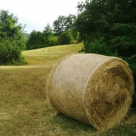 La Corte Dei Petrani Mansarda In Val Borbera * Roccaforte Ligure