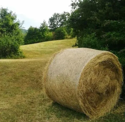 La Corte Dei Petrani Mansarda In Val Borbera * Roccaforte Ligure
